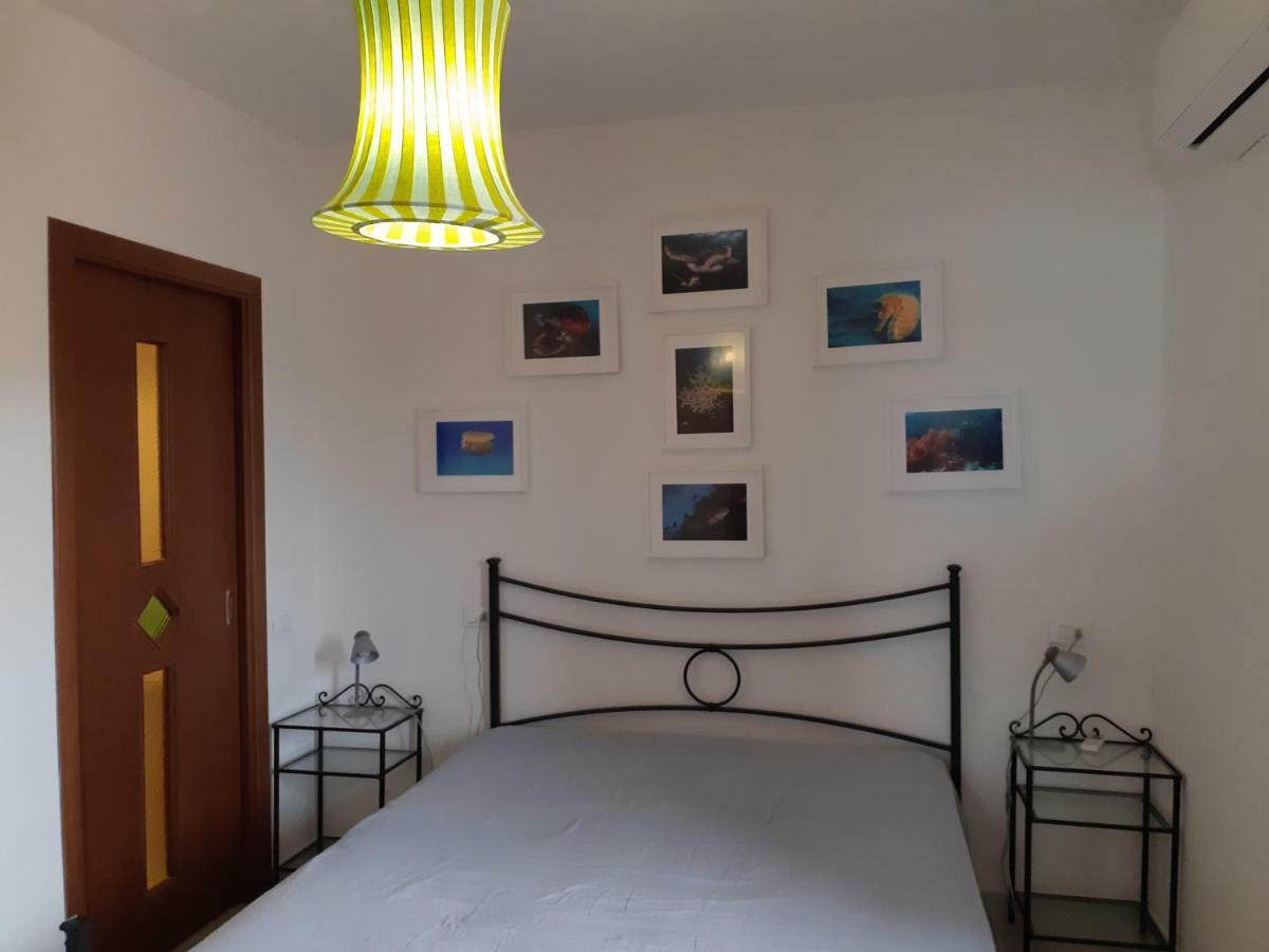 Campese Apartments Exteriér fotografie